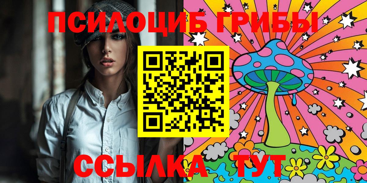 Губкинский  Псилоцибиновые грибы прущие грибы  Вход с VPN 