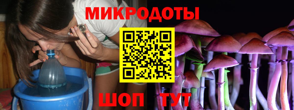 Псилоцибиновые грибы прущие грибы Губкинский