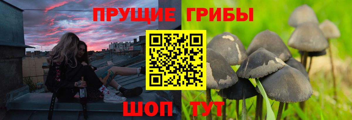 Марихуана Губкинский